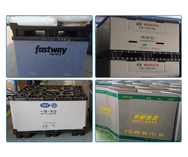 Customized Appearance Customized Appearance