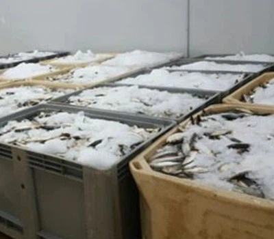 Food Refrigeration Food Refrigeration