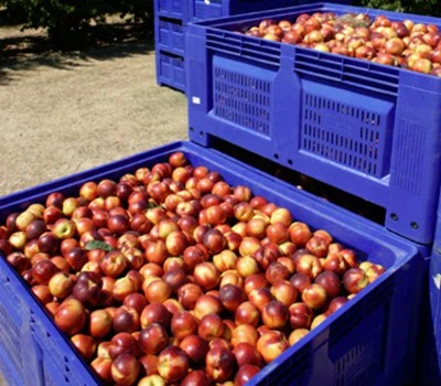Agriculture Transport Storage Agriculture Transport Storage