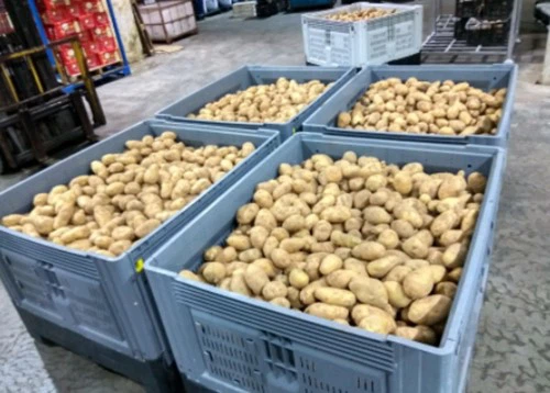 Agricultural product harvesting and transportation Agricultural product harvesting and transportation