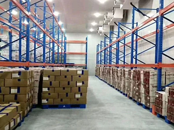 Plastic Pallets for Freezer warehouse Plastic Pallets for Freezer warehouse