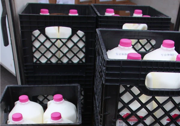 Dairy Industry Dairy Industry