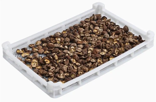 Plastic Drying Tray for Vegetables Plastic Drying Tray for Vegetables