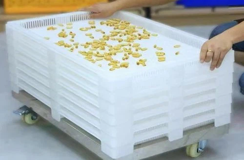 Drying Trays for Pharmaceuticals Drying Trays for Pharmaceuticals