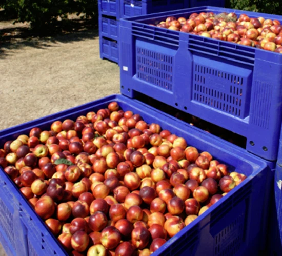 Plastic Pallet Box For Agriculture Plastic Pallet Box For Agriculture