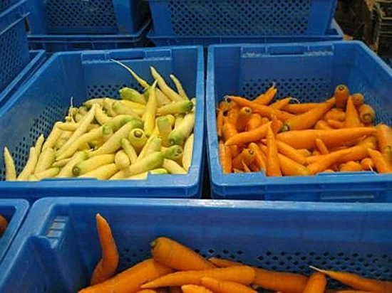 Plastic Pallet Box For Agriculture Plastic Pallet Box For Agriculture